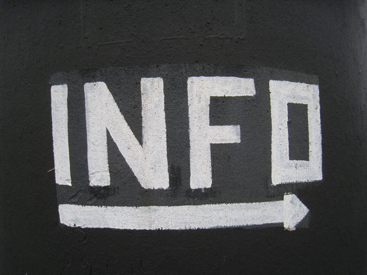 Reasons for choosing Economic Informatics